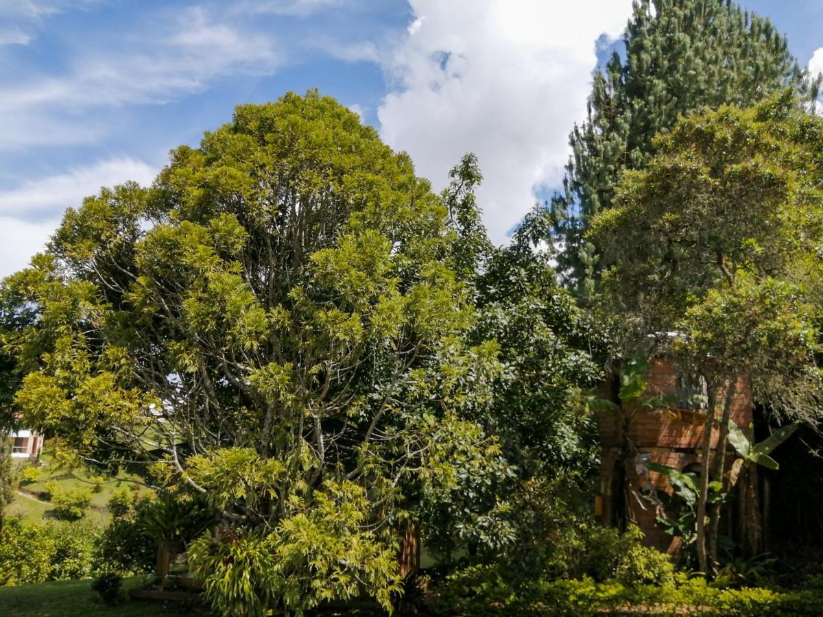 Hotel Hevilat Paraiso De Oriente Rionegro Ngoại thất bức ảnh